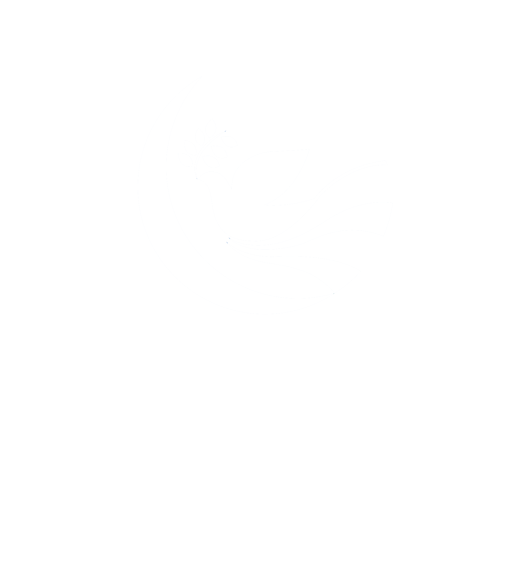 DIN logo